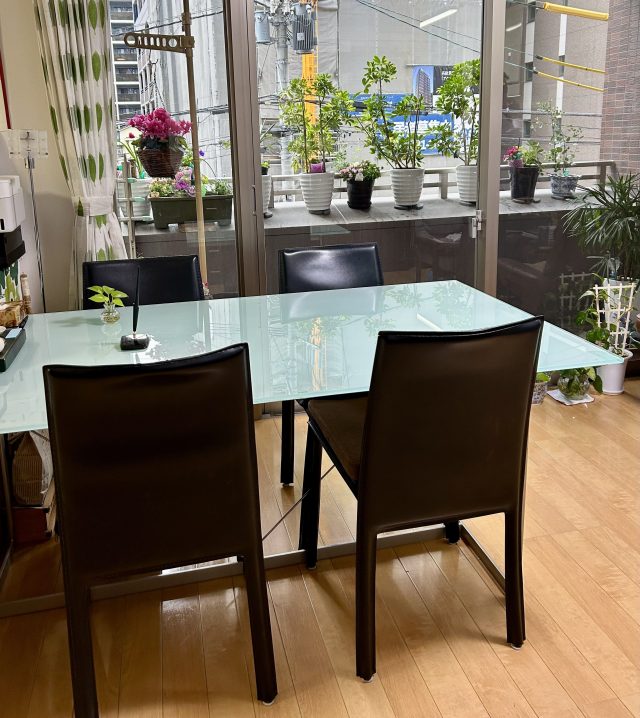 行政書士　井上法務事務所(福岡県福岡市南区)