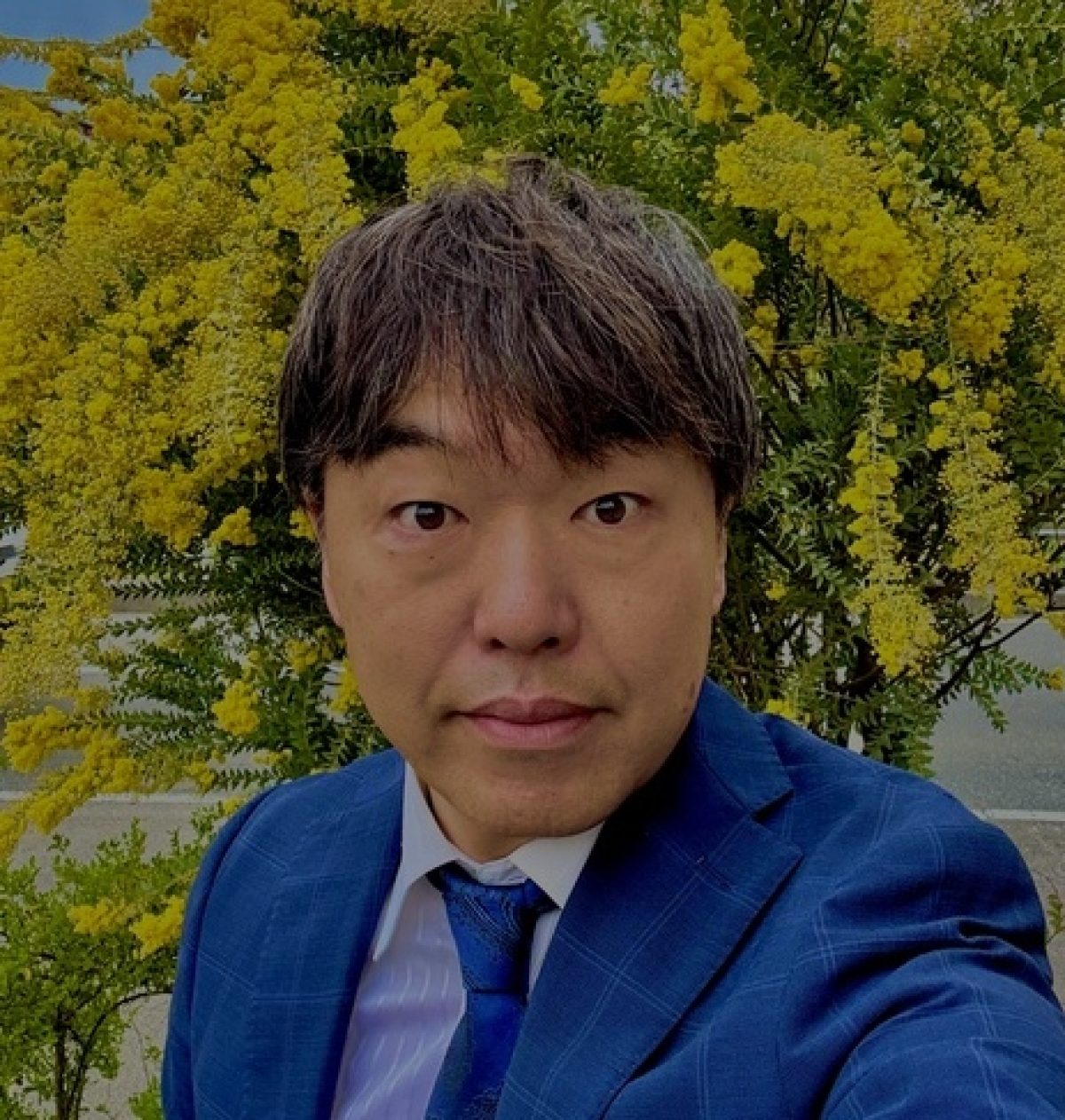 行政書士ミラクル