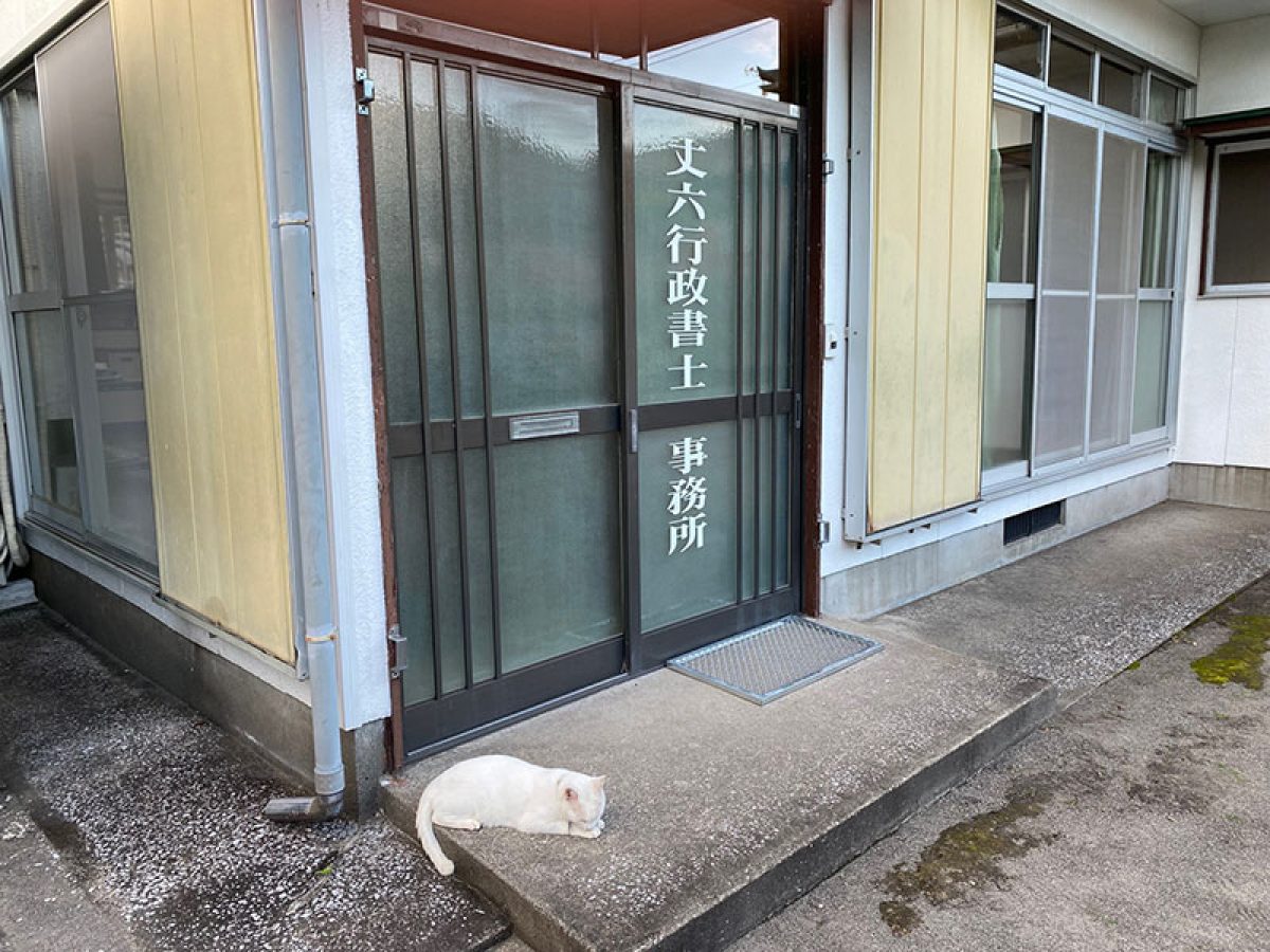 丈六行政書士事務所(鹿児島県指宿市)