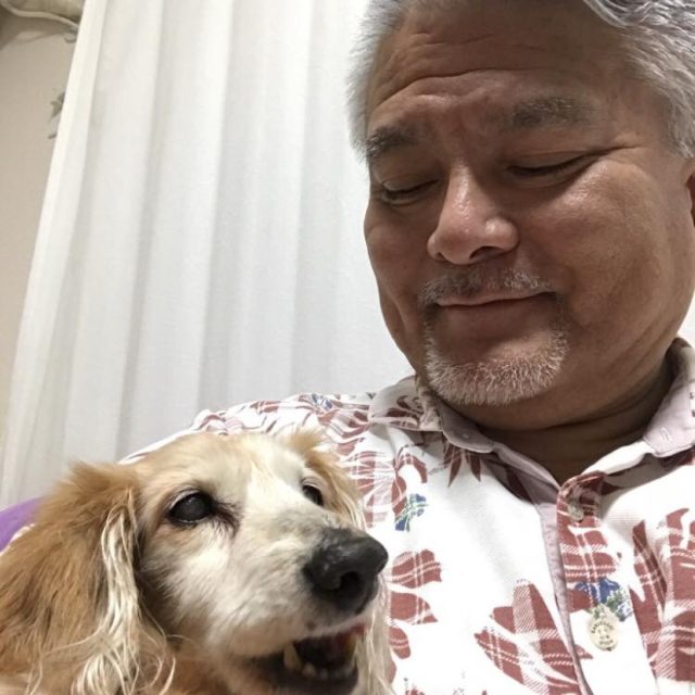 玉城判行政書士事務所(沖縄県渡嘉敷村)