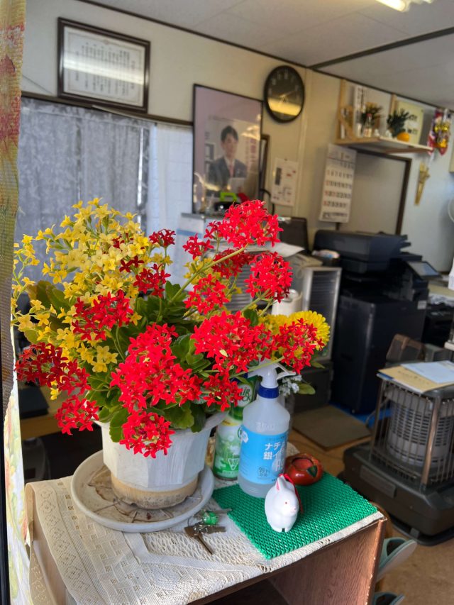 ひまわり法務サポート行政書士渡邊勇人(福島県広野町)